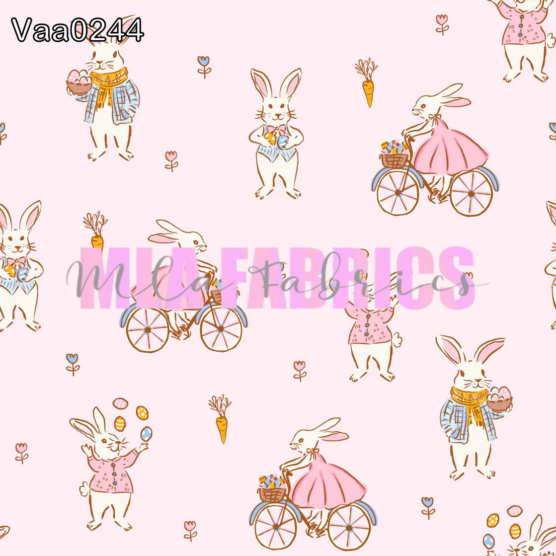 Vaa0244