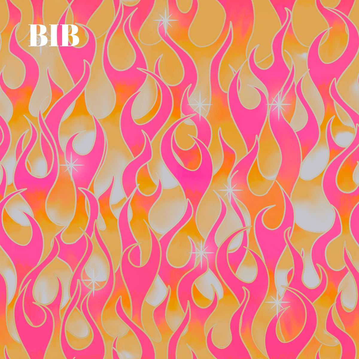 BIB