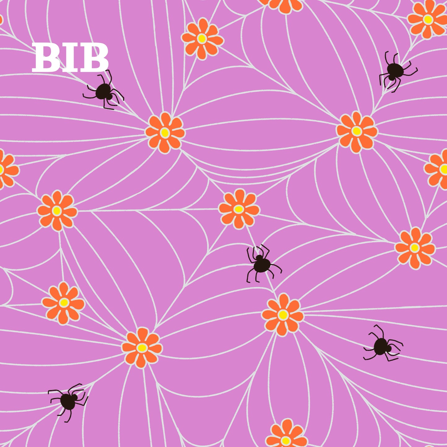 BIB