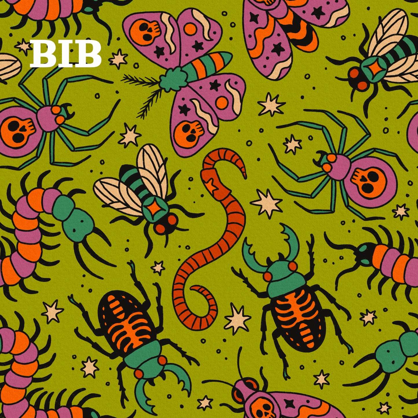 BIB