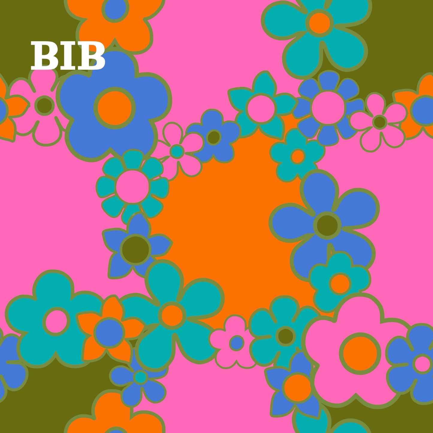 BIB