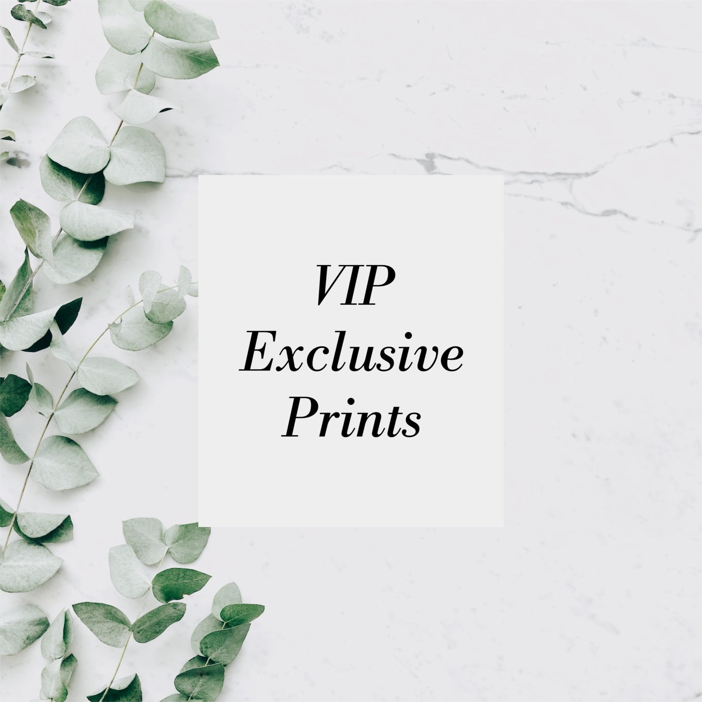 VIP EXCLUSIVES