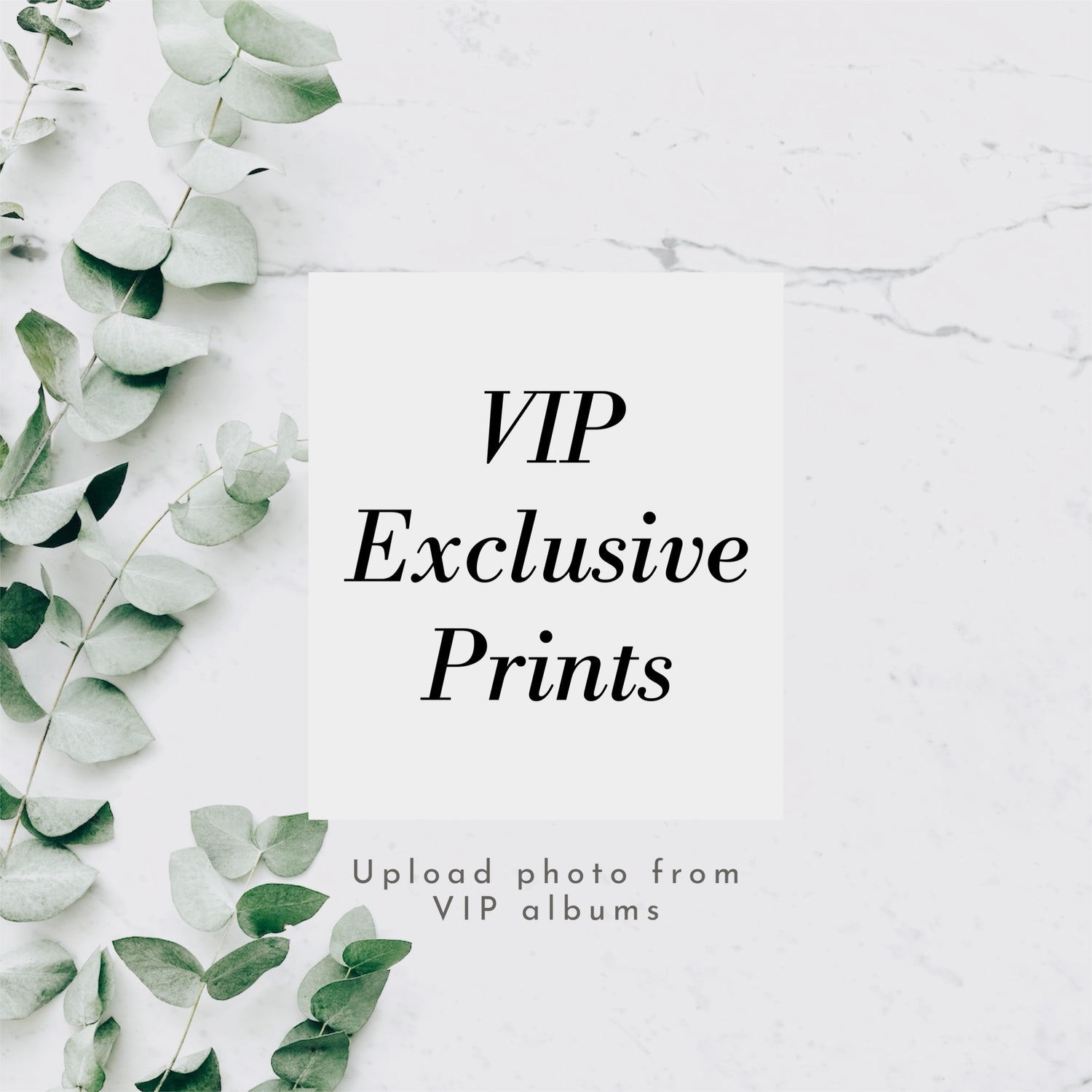 VIP EXCLUSIVES