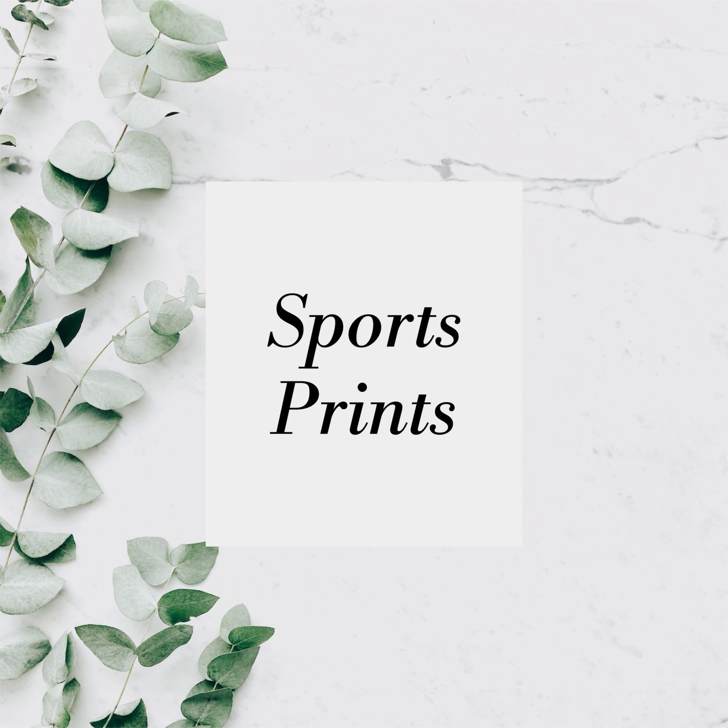 SPORTS