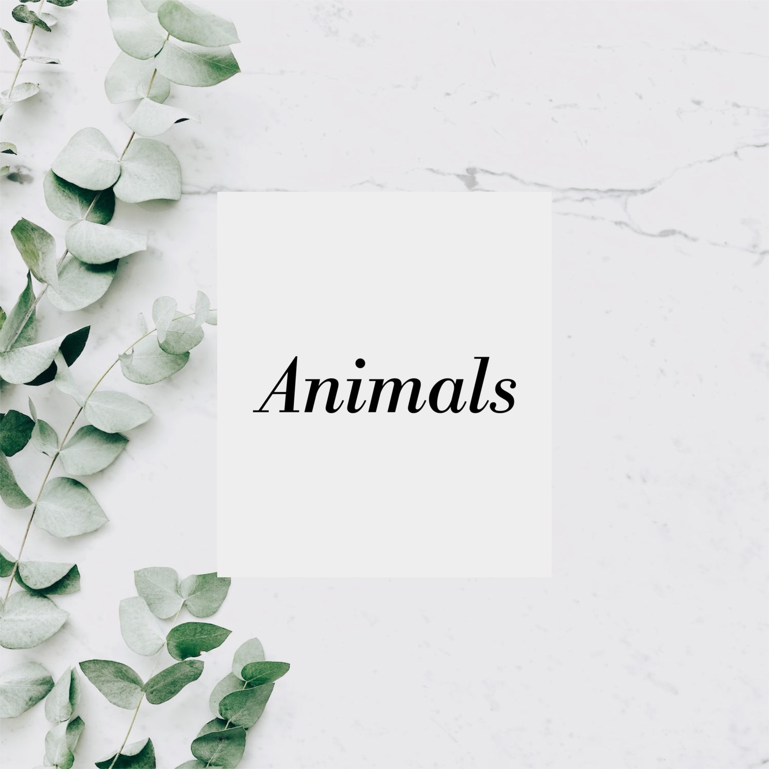 ANIMALS