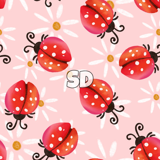 SD