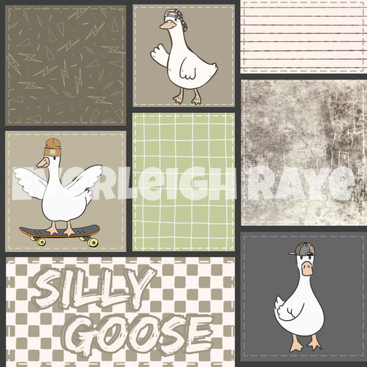 Silly Goose boy