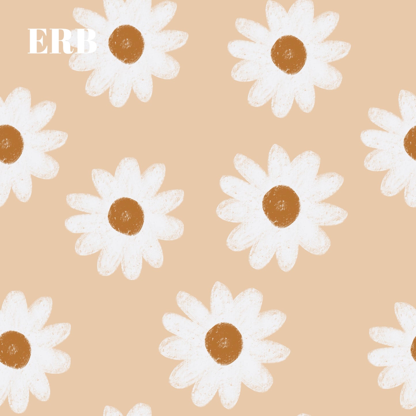 Western Daisy