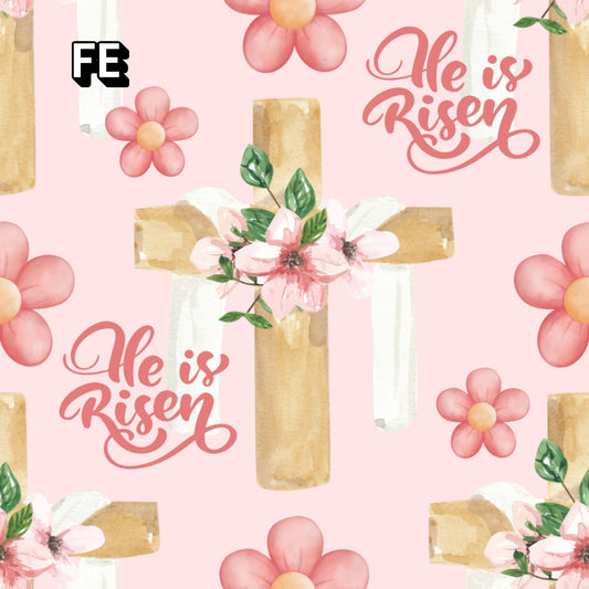 FE
