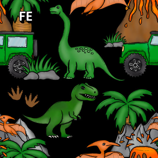 FE