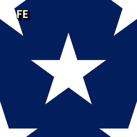 FE
