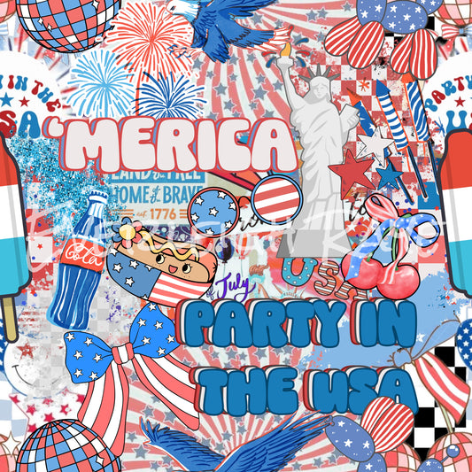 Party in the USA