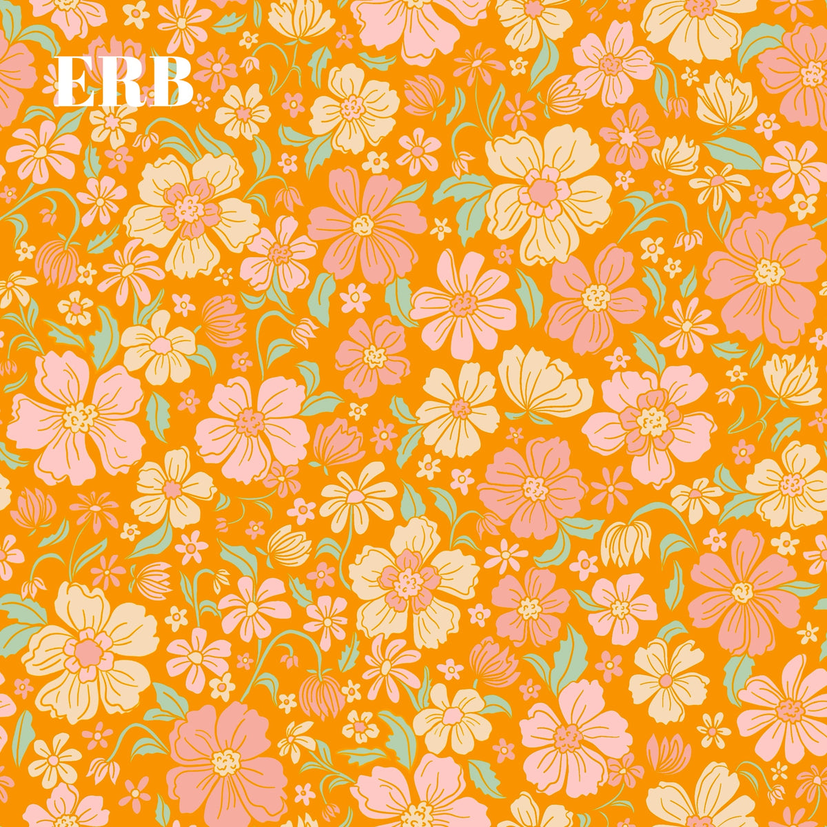 ERB