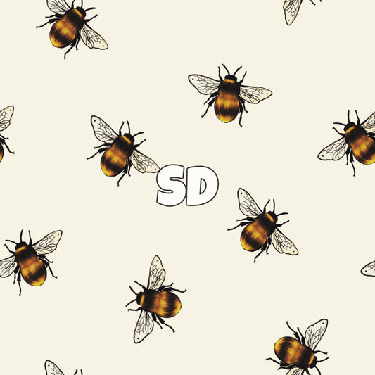 SD