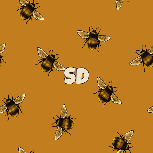 SD