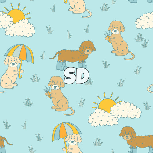 SD