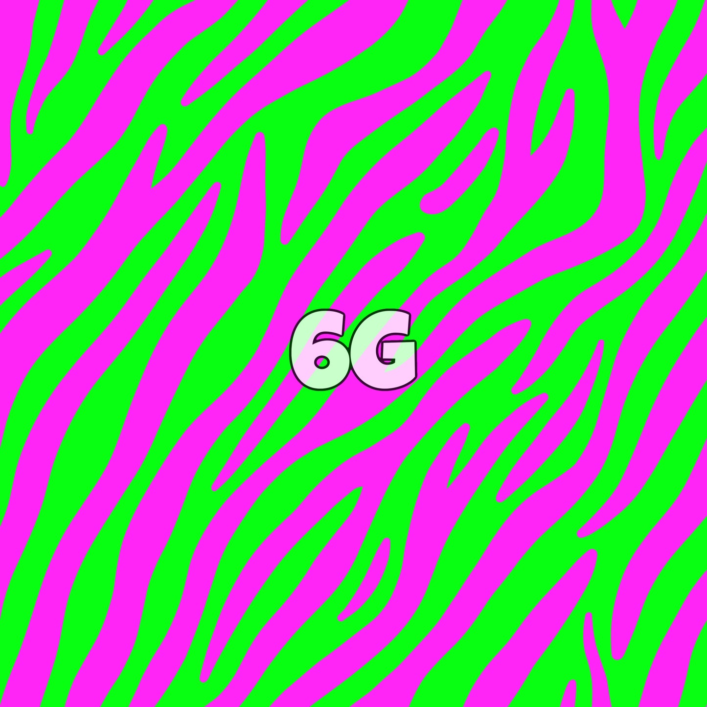 6G