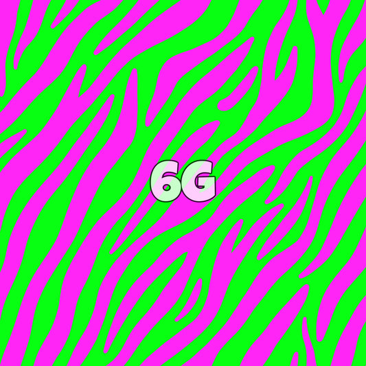 6G