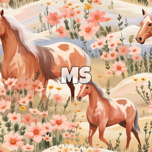 MS