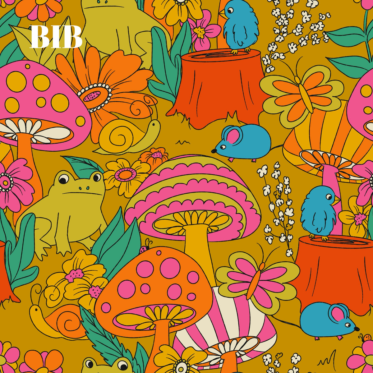 BIB