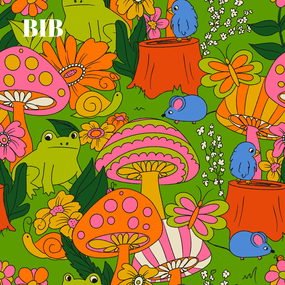 BIB