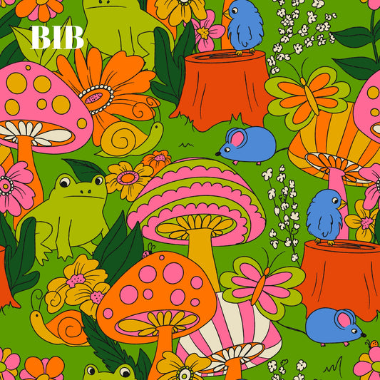 BIB