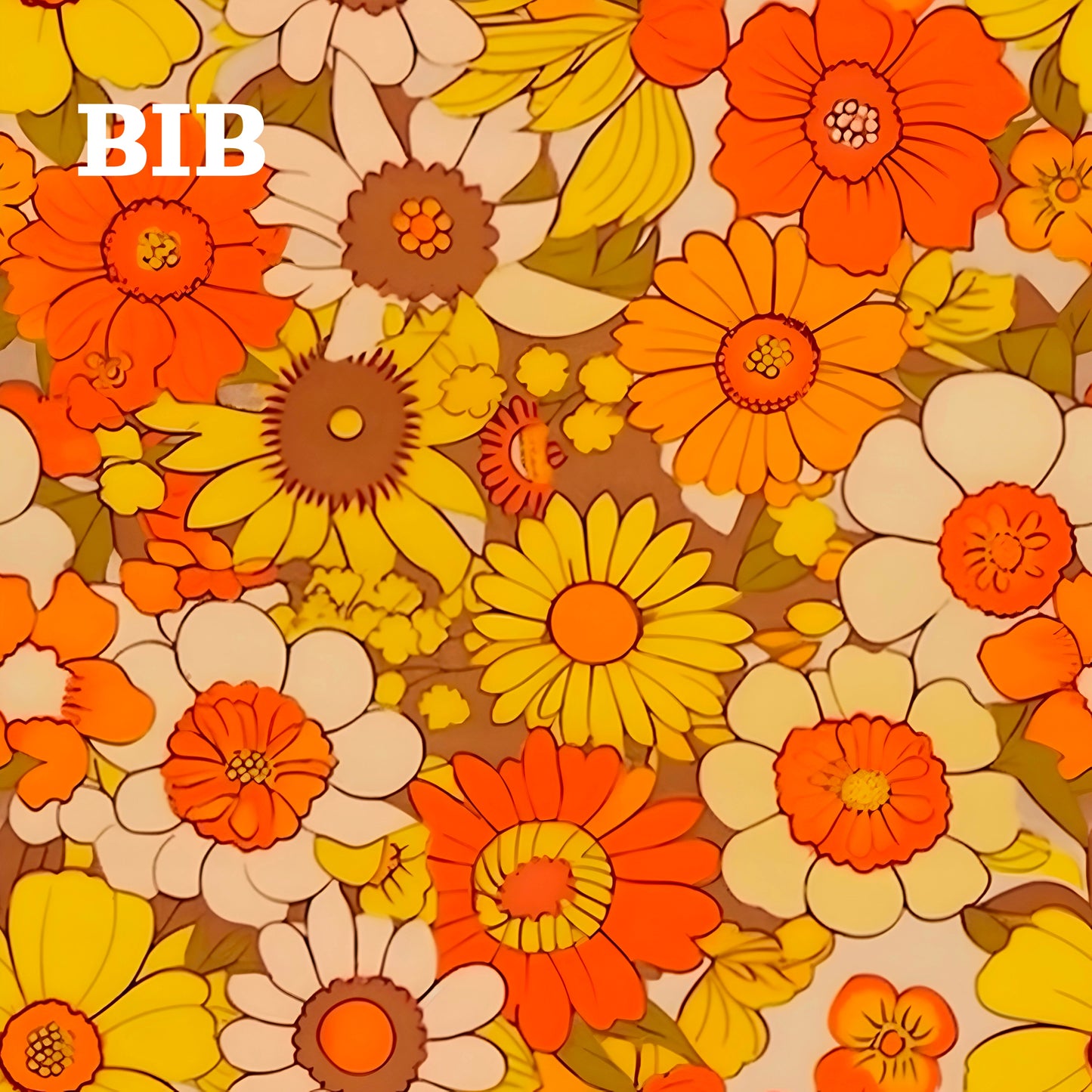 BIB