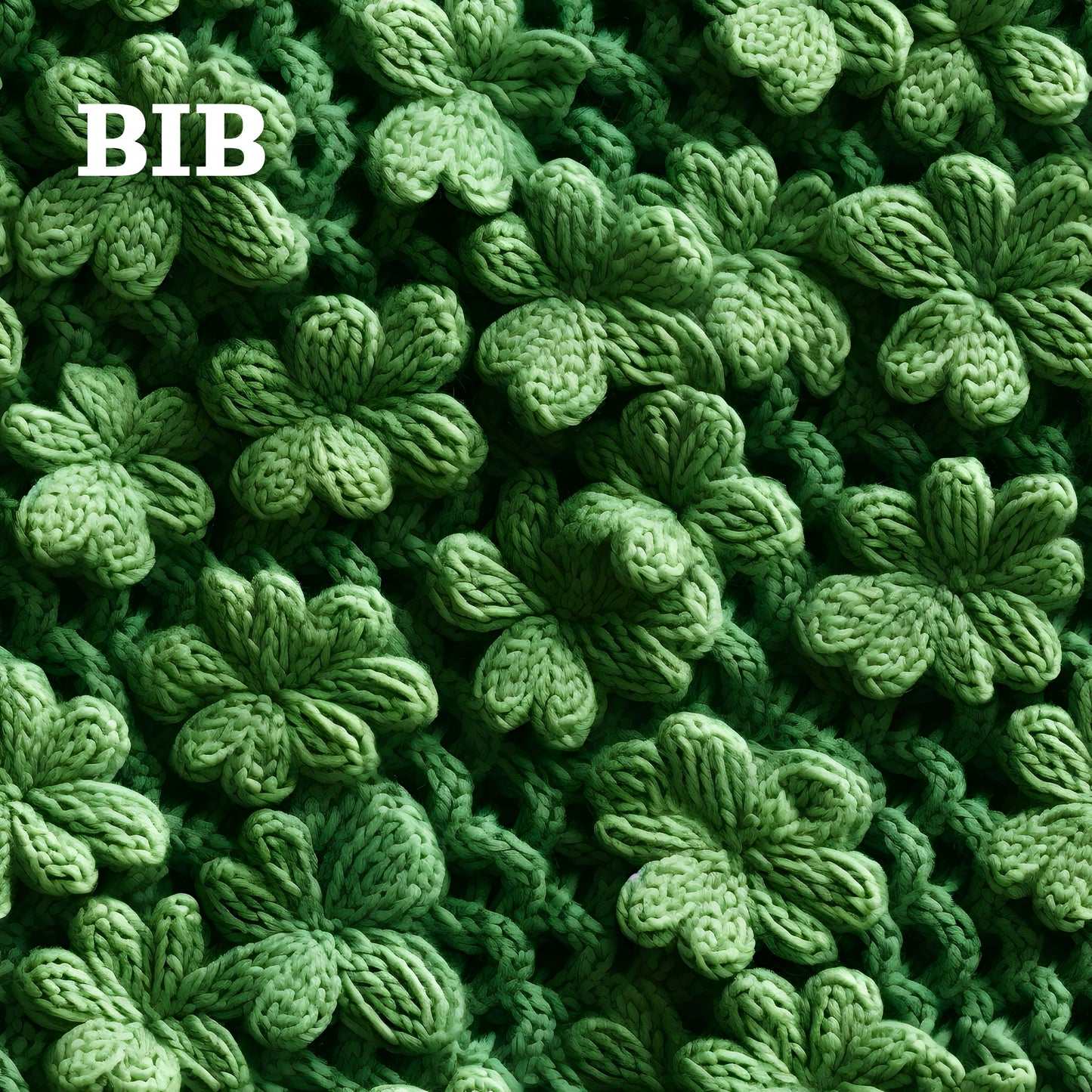 BIB