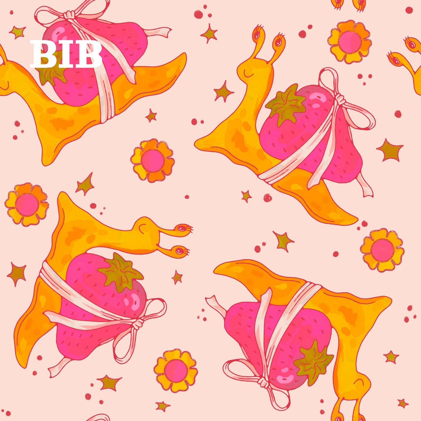 BIB