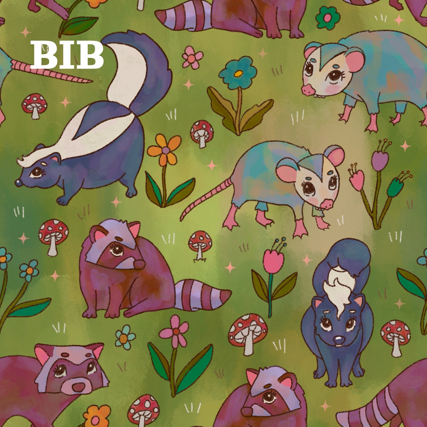 BIB