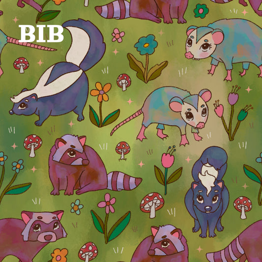 BIB