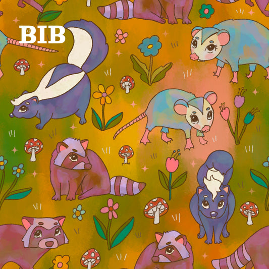 BIB