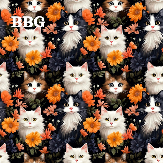 BBG