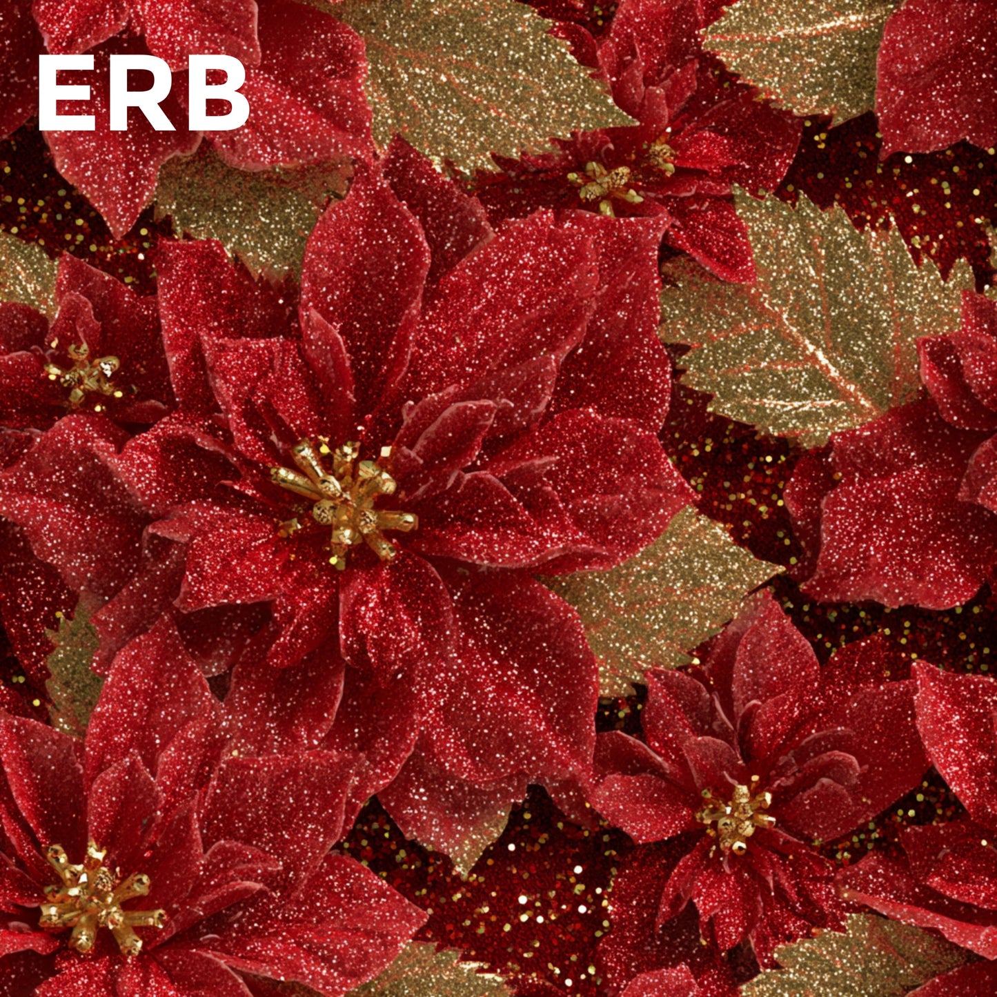 ERB