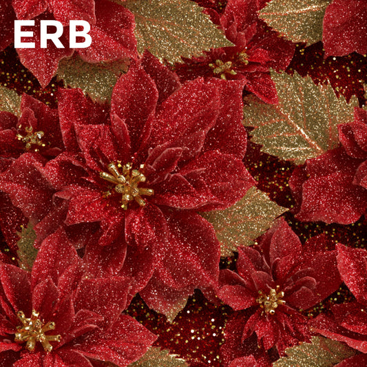 ERB