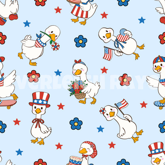 Blue geese